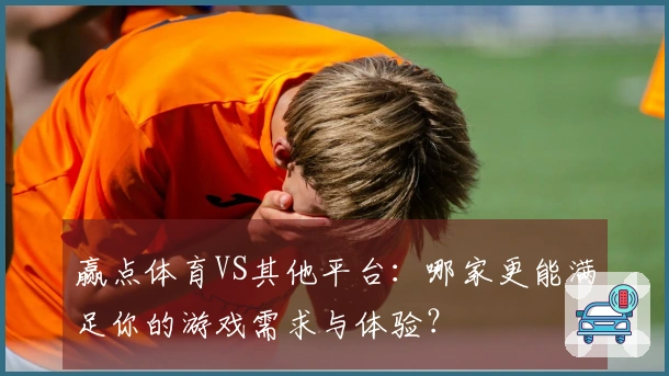 赢点体育VS其他平台：哪家更能满足你的游戏需求与体验？