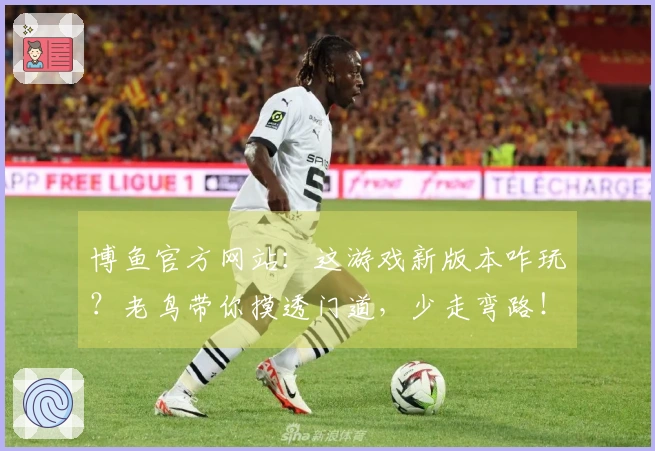 博鱼官方网站：这游戏新版本咋玩？老鸟带你摸透门道，少走弯路！